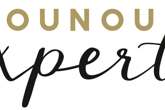 Logo Nounou Expert